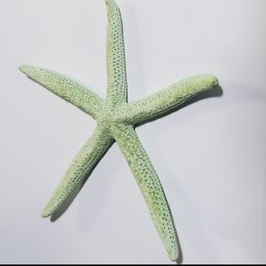 Extra large green starfish